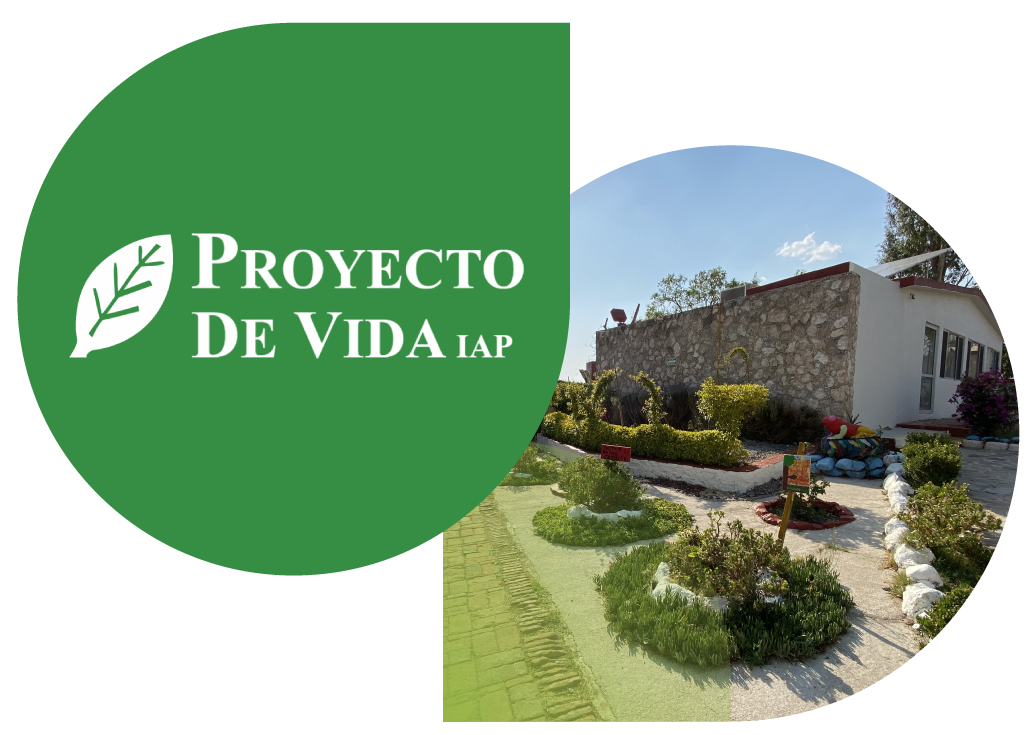 Proyecto De Vida, Iap logo